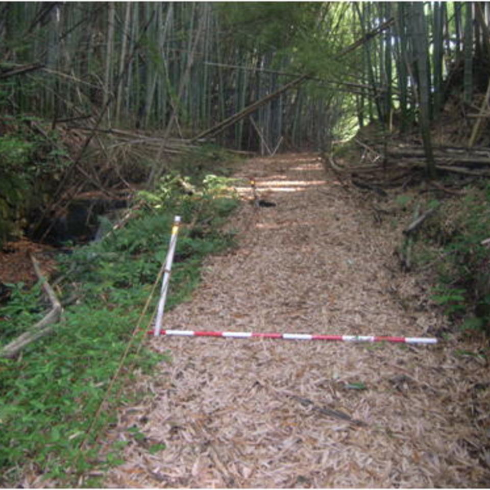 市道補修工事の画像